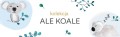 ale-koale.jpg