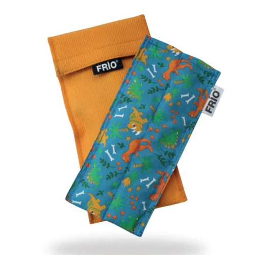 etui-frio-duopen-wzor-dinozaury.png